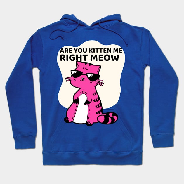 are you kitten me right meow cat kidding Hoodie by auviba-design